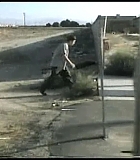 ABoyCalledHate00102.jpg