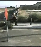 ABoyCalledHate00103.jpg