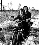 BCHPromotional00002.jpg