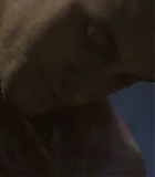 SpeedofLife_00406.jpg