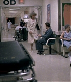 SpeedofLife_00504.jpg