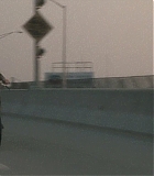 SpeedofLife_01186.jpg