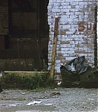 SpeedofLife_01481.jpg