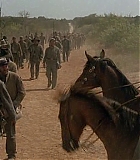 AmericanOut-0062.jpg