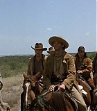 AmericanOut-0382.jpg