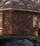 Sonny-0003.jpg