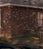 Sonny-0005.jpg