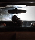 Dallas362-0764.jpg