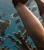 IntotheBlue-0081.jpg