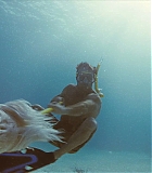 IntotheBlue-0141.jpg