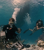 IntotheBlue-0264.jpg