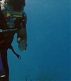 IntotheBlue-0327.jpg