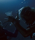 IntotheBlue-0604.jpg
