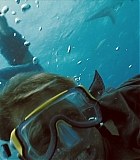 Filename=IntotheBlue-0727.jpg
Filesize=139KiB
Dimensions=1920x808
Date added=Feb 09, 2016 IntotheBlue-0727.jpg