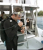 IntotheBlueF-0072.jpg