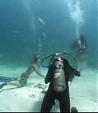IntotheBlueF-0077.jpg