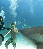 IntotheBlueF-0091.jpg
