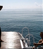 IntotheBlueF-0094.jpg