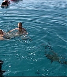 IntotheBlueF-0106.jpg
