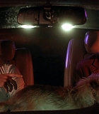 DogProblem-0067.jpg