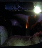 DogProblem-0070.jpg