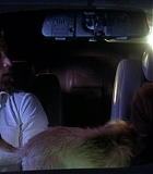 DogProblem-0071.jpg