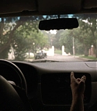 DogProblem-0095.jpg