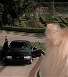 DogProblem-0118.jpg