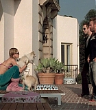 DogProblem-0128.jpg