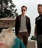 DogProblem-0135.jpg