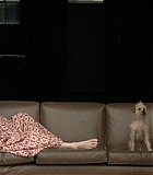 Filename=DogProblem-0473.jpg
Filesize=83KiB
Dimensions=1280x720
Date added=Feb 10, 2016 DogProblem-0473.jpg