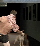 Filename=DogProblem-0484.jpg
Filesize=93KiB
Dimensions=1280x720
Date added=Feb 10, 2016 DogProblem-0484.jpg