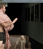 Filename=DogProblem-0485.jpg
Filesize=94KiB
Dimensions=1280x720
Date added=Feb 10, 2016 DogProblem-0485.jpg