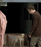 Filename=DogProblem-0487.jpg
Filesize=96KiB
Dimensions=1280x720
Date added=Feb 10, 2016 DogProblem-0487.jpg