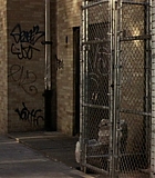 BrooklynRules-0005.jpg