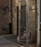 BrooklynRules-0006.jpg