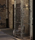 BrooklynRules-0007.jpg