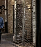 BrooklynRules-0008.jpg