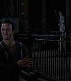 BrooklynRules-0075.jpg