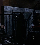 BrooklynRules-0265.jpg