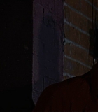 BrooklynRules-0314.jpg