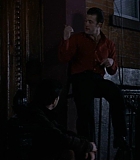 BrooklynRules-0316.jpg