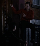 BrooklynRules-0318.jpg