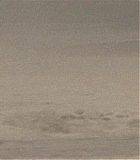 Mercy-1044.jpg