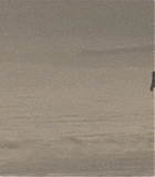 Mercy-1045.jpg
