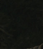 Mercy-1309.jpg