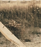 BGTE-0406.jpg