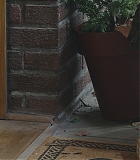 Alert107-0003.jpg