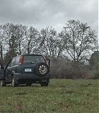 Alert206-0403.jpg