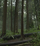 Alert302-0300.jpg